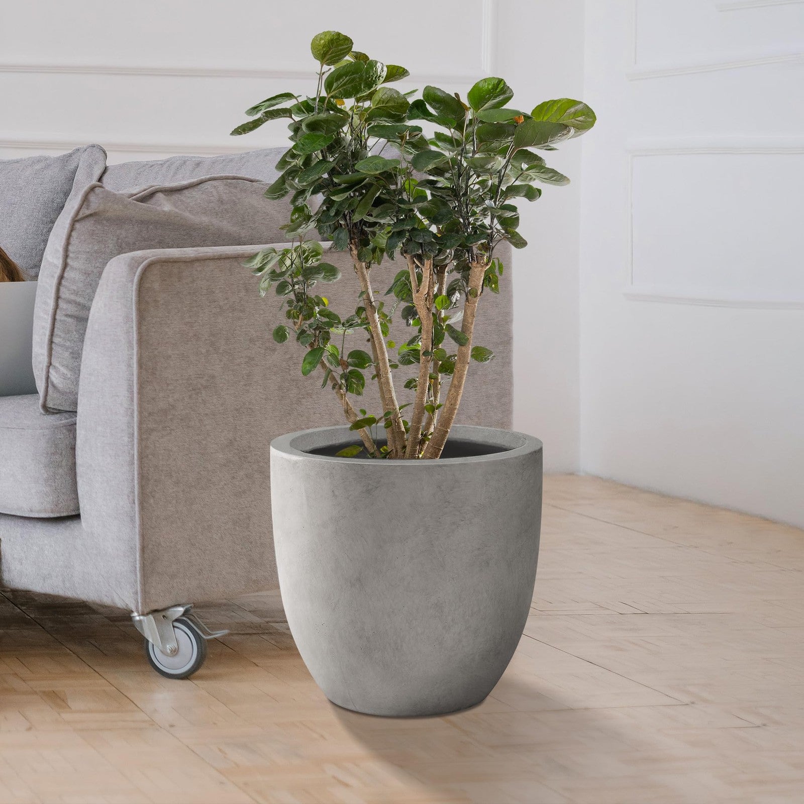 Large Kante 13.4-inch round concrete planter with modern design, suitable for outdoor or indoor decorative plant display.