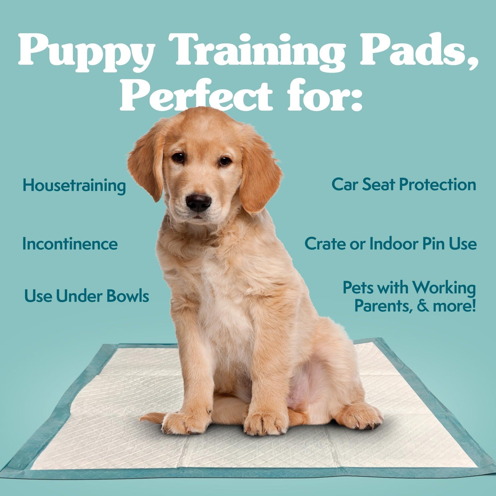 Large puppy training pads by Simple Solution, 10 leak-proof dog potty pads in a pack for effective house training.