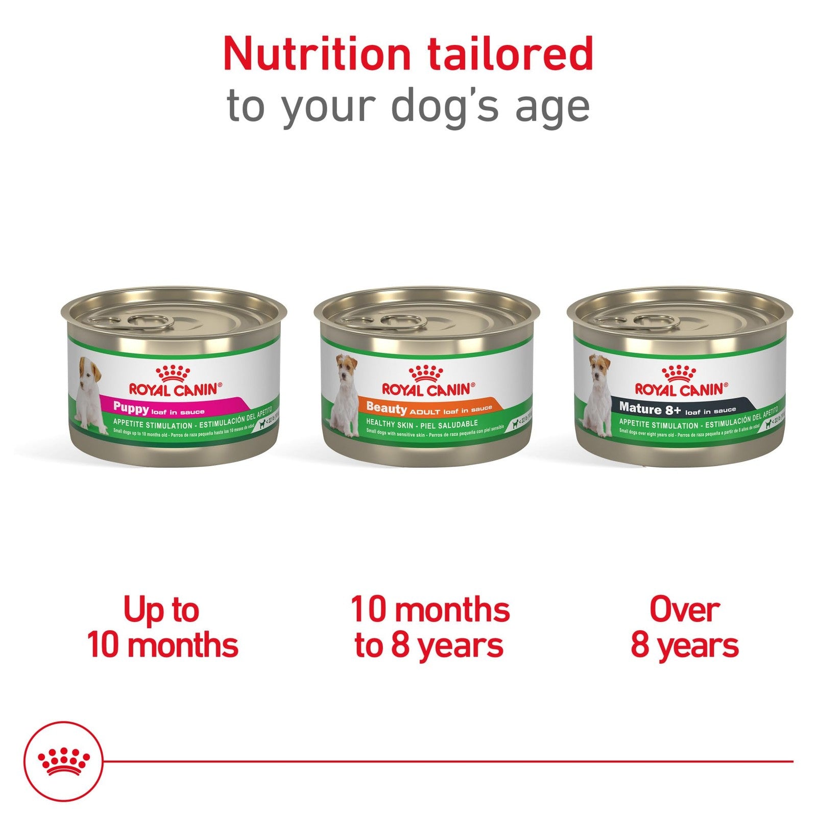 Royal Canin Canine Health Nutrition Puppy Loaf in Sauce dog food, 5.2 oz, served in a bowl with visible sauce and puppy's face.