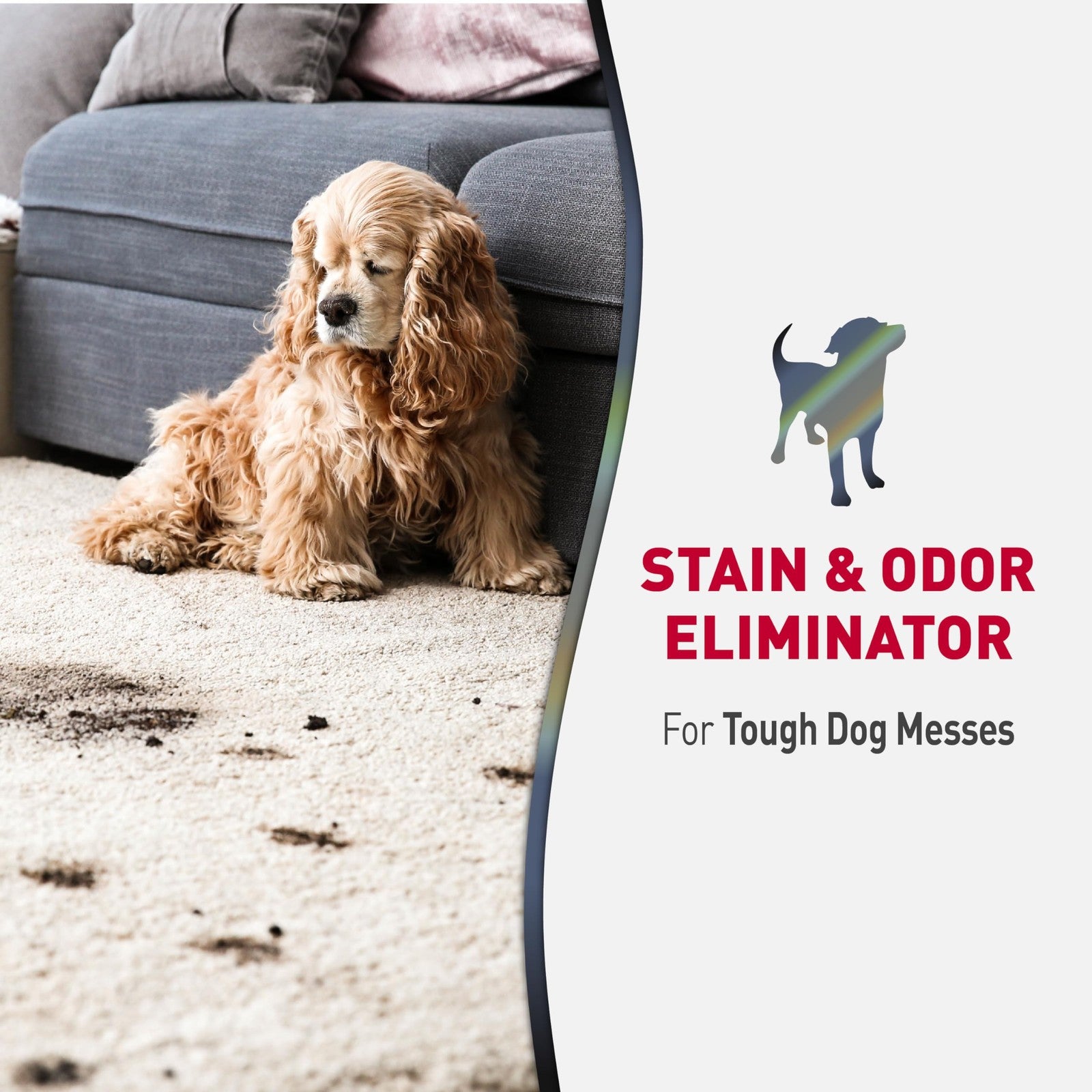 Nature's Miracle enzymatic dog stain and odor eliminator in 1-gallon and 32oz bottles, designed to remove pet messes effectively.