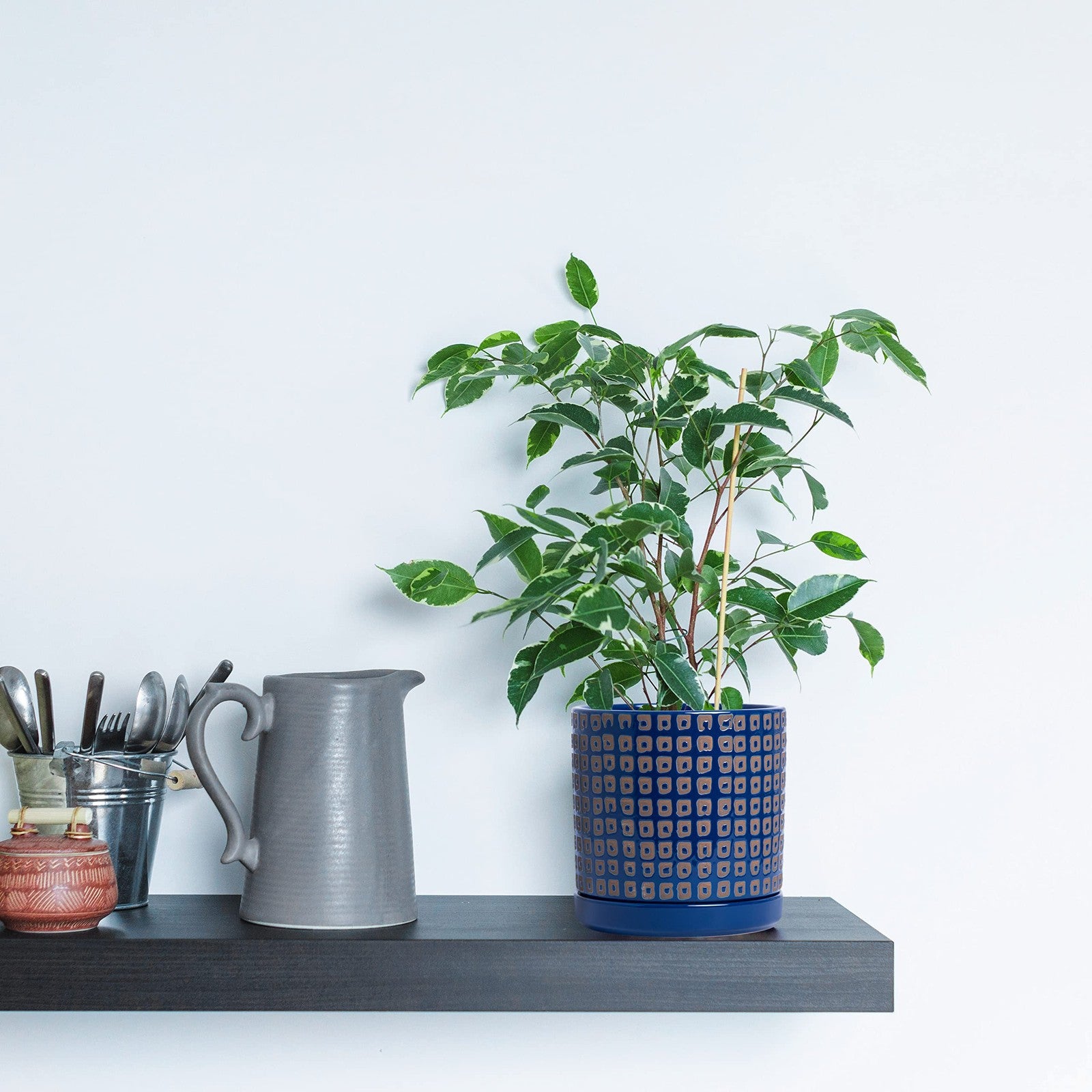 Pair of D'vine Dev 6-inch ceramic planter pots with drainage holes and saucers, ideal for indoor or outdoor plants.