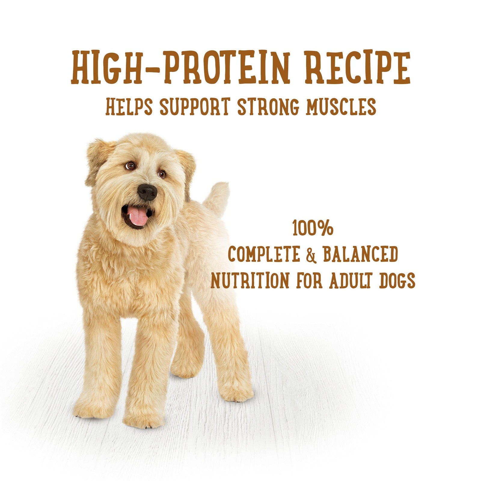 Beneful Purina Lamb and Rice Stew prepared dog meal in 10 oz. tubs, shown in a pack of two with colorful food containers.