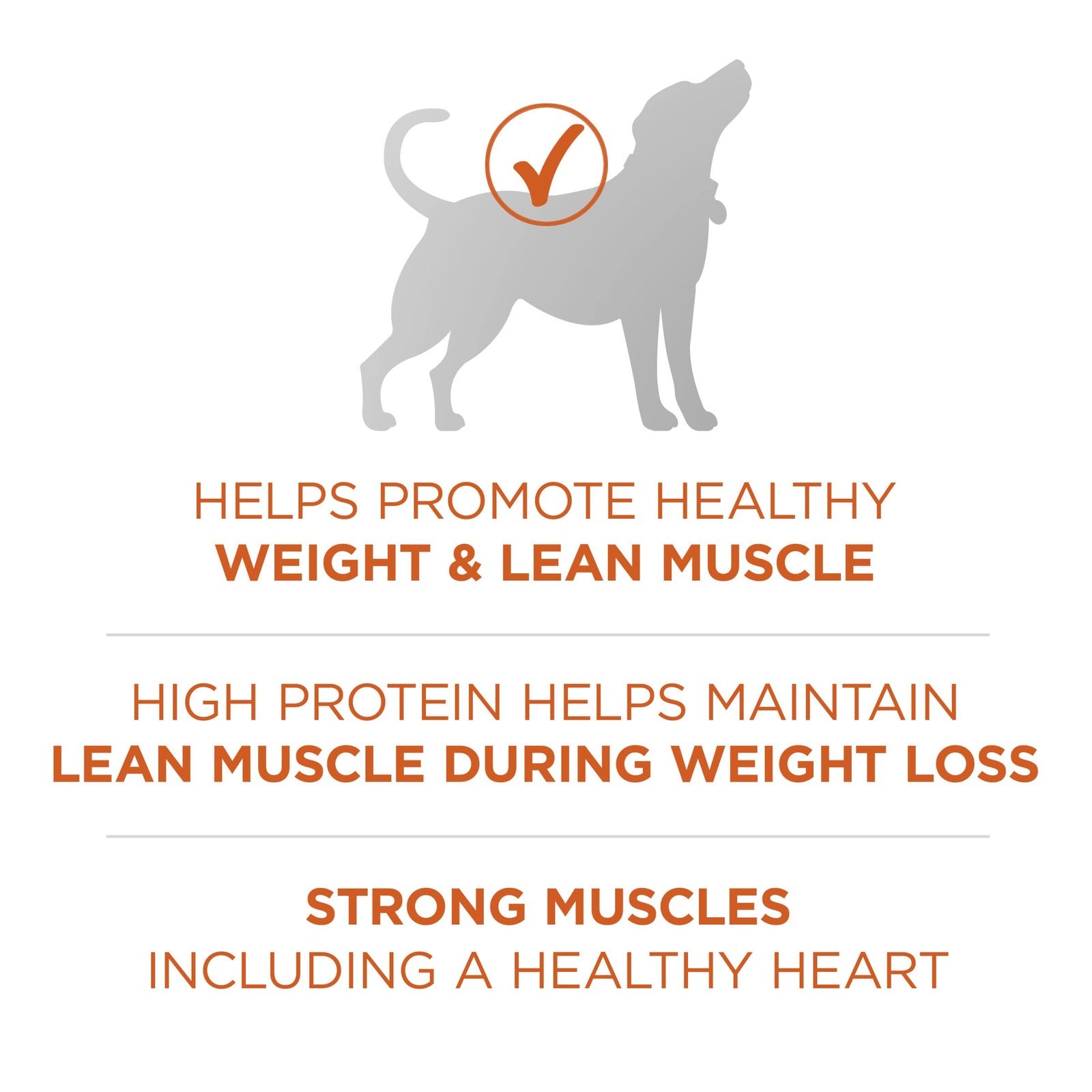 Purina ONE Plus Healthy Weight high-protein dog food dry formula in a 16.5 lb. bag, showing the bag's front label.