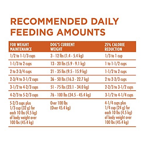 Purina ONE Plus Healthy Weight high-protein dry dog food in a 16.5 lb. bag showing kibble close-up