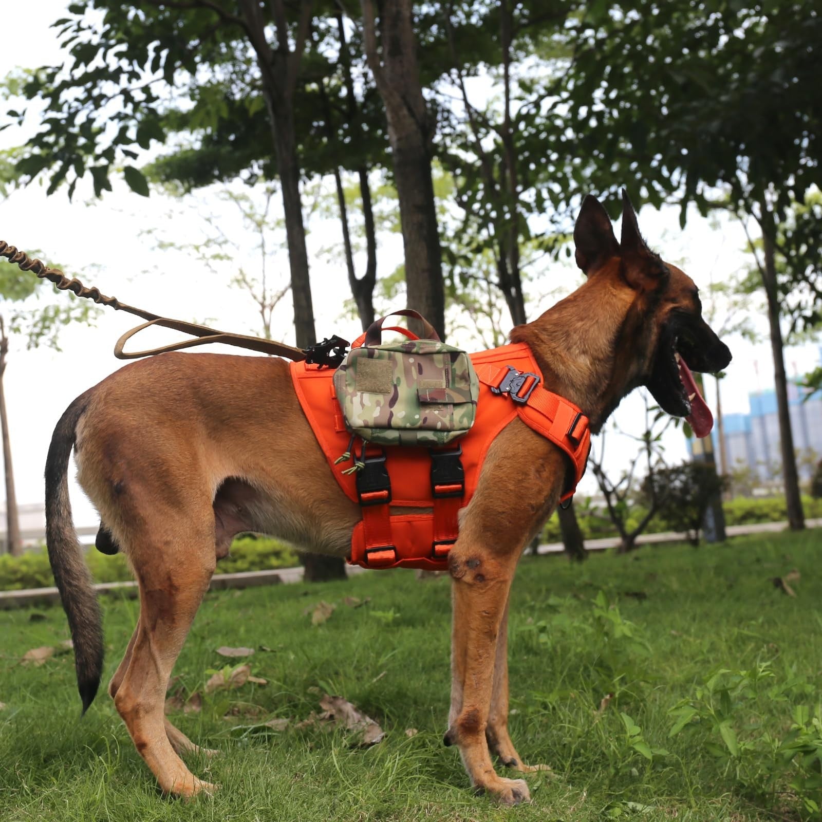 Icefang Gn3 tactical dog harness with Molle vest, buckled straps, handle, 3/4 body coverage, durable and secure for active dogs.