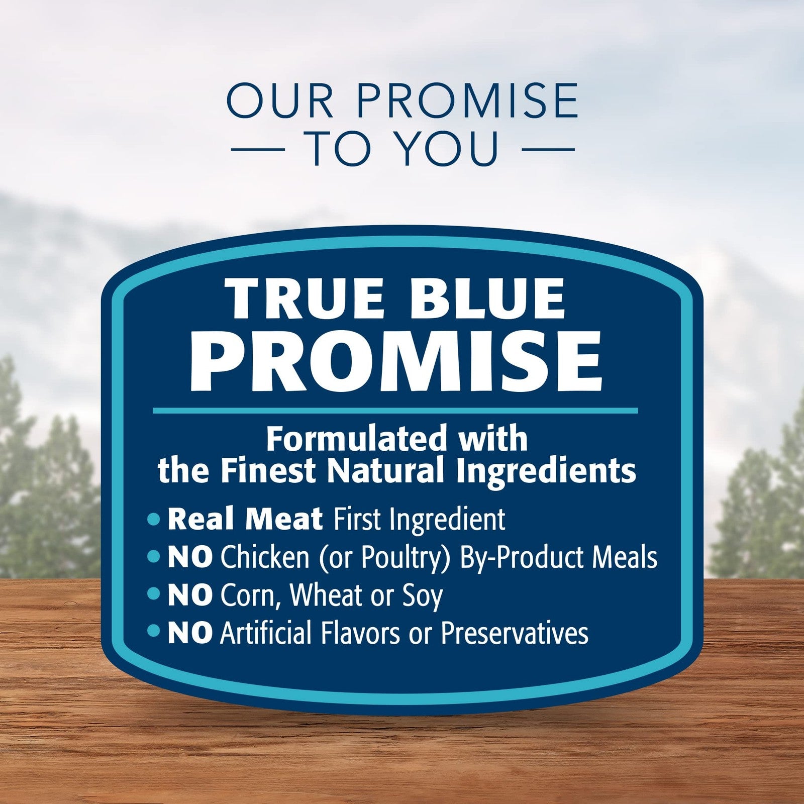 Blue Buffalo Wilderness healthy weight wet dog food with turkey and chicken in a can, showing the nutritious pet food.