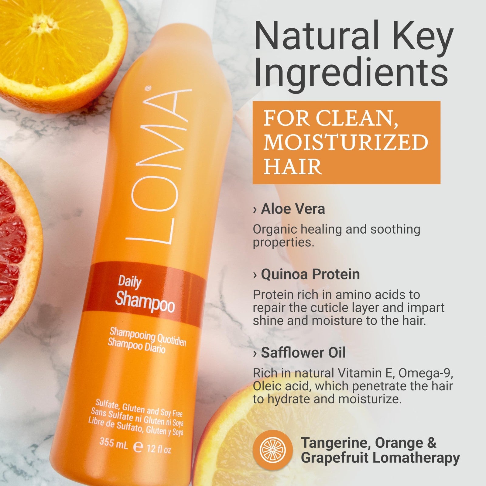 Loma Daily Shampoo 33-ounce bottle with white pump dispenser, featuring clean label design and product details on the label.