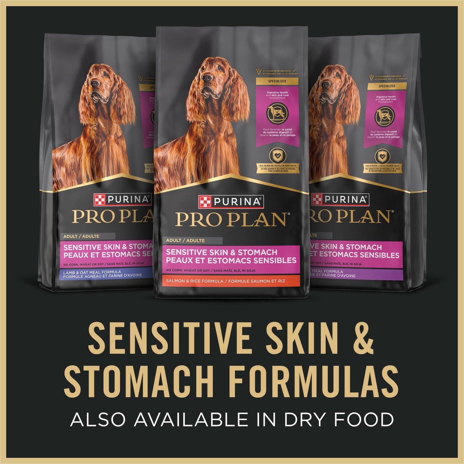 Canned Purina Pro Plan Sensitive Skin and Stomach turkey and oatmeal entree in gravy for cats, showing the food in a bowl.