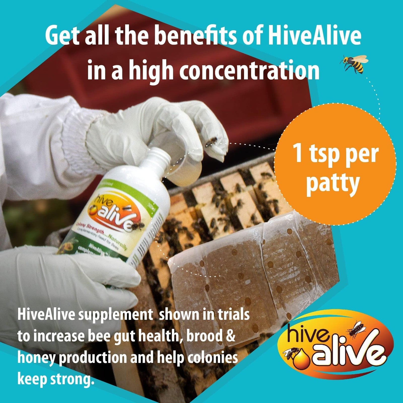 Hive Alive pollen patty for honey bees, 10 lb pack, natural bee food and pollen supplement for hive health