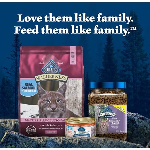 Blue Buffalo Wilderness high protein grain-free dry cat food with salmon, showing the bag and cat food kibble.