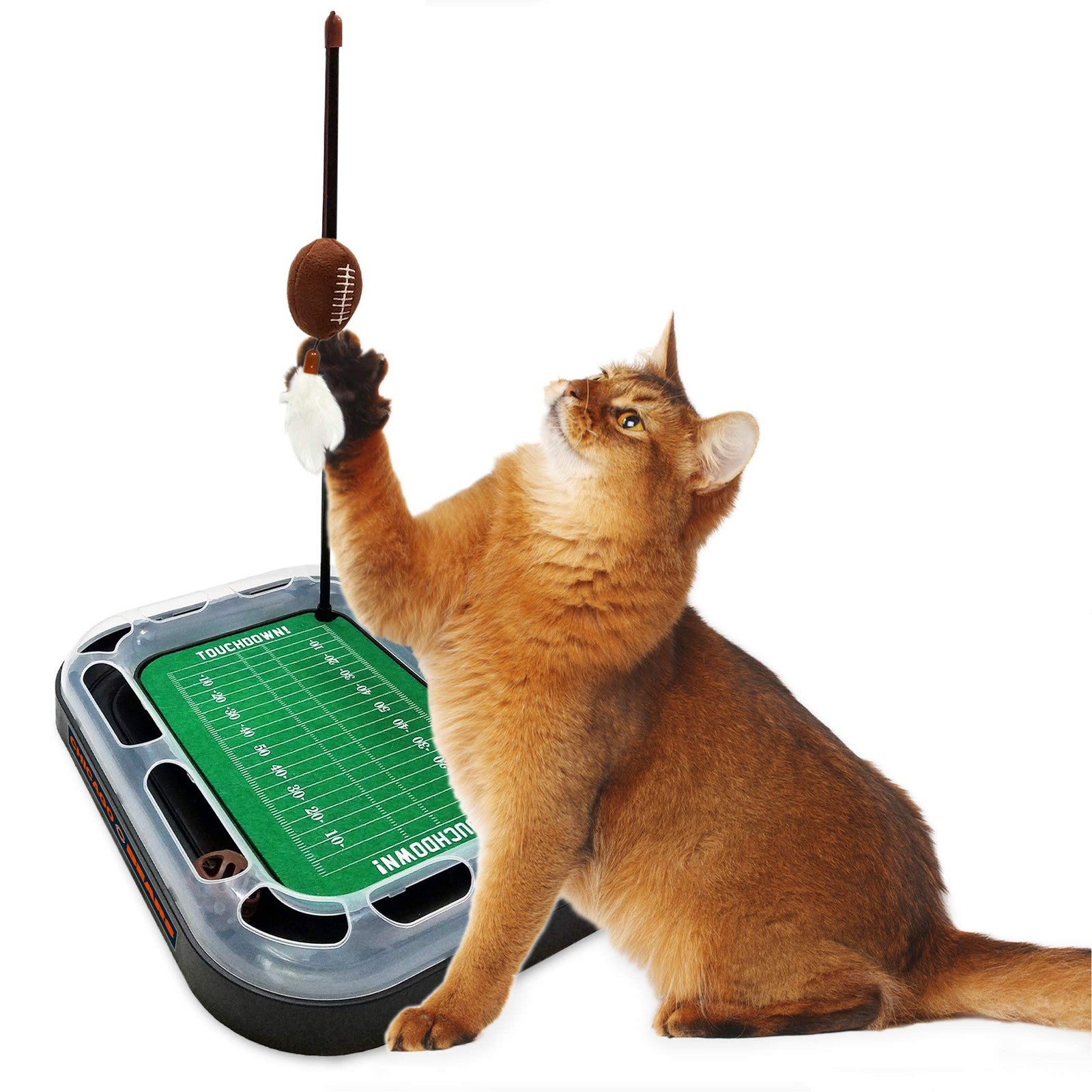 Pets First Chicago Bears football field-themed cat scratcher toy with textured surface for cats to scratch and play.