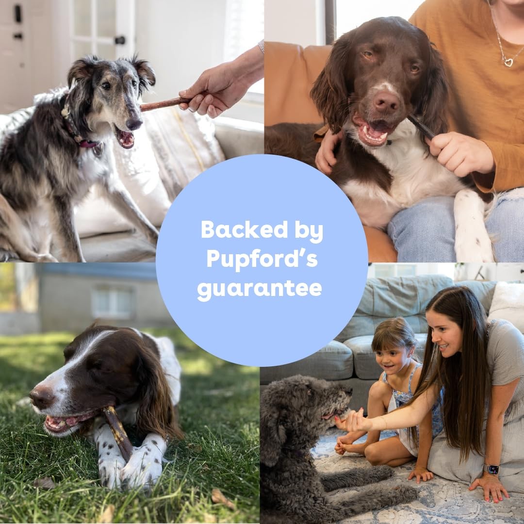 Pupford Collagen Stick Chews for dogs and puppies, all-natural bully stick treats with healthy collagen for dental and joint support.