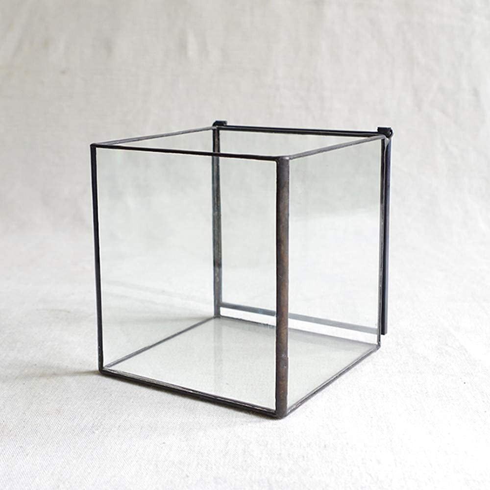 Small square glass terrarium by Libproqia, geometric clear design for indoor plant display and decorative arrangements.