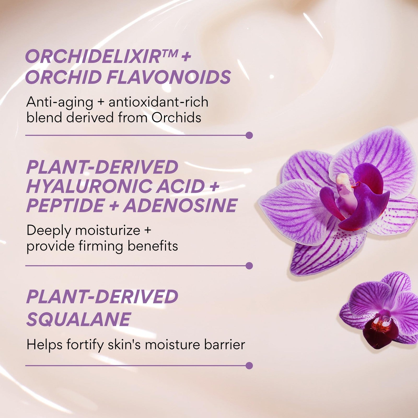 Innisfree Orchid Youth-Enriched Cream in a jar, Korean face moisturizer with orchid extract for firming and hydration.