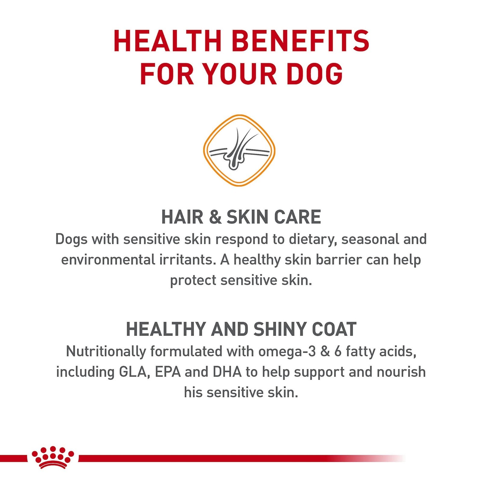 Royal Canin Canine Care Nutrition Medium Sensitive Skin Care adult dry dog food bag showing product packaging and branding.