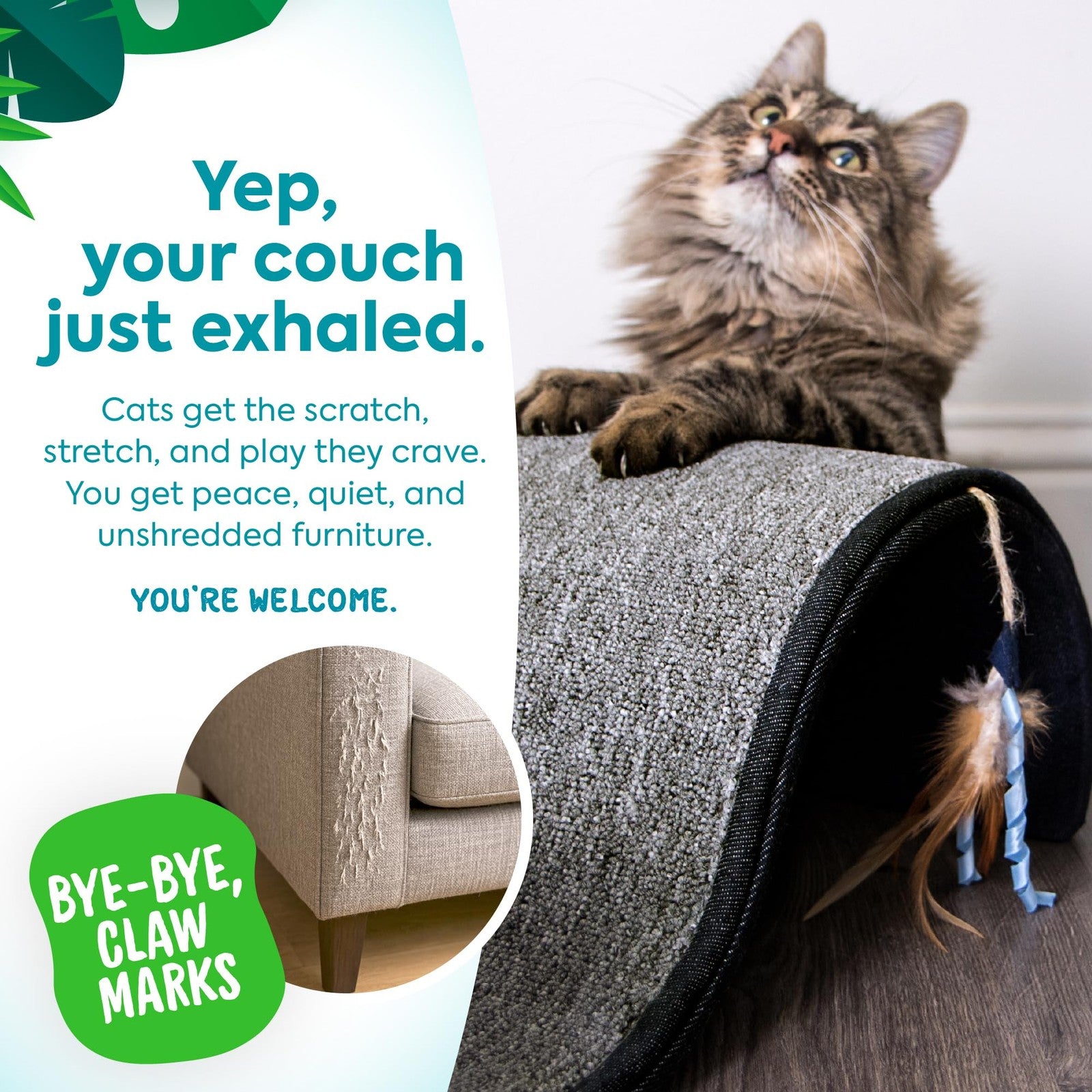 Petlinks Dream Curl Carpet Cat Scratcher with dual-surface sisal lounge and catnip for cats to scratch and relax.