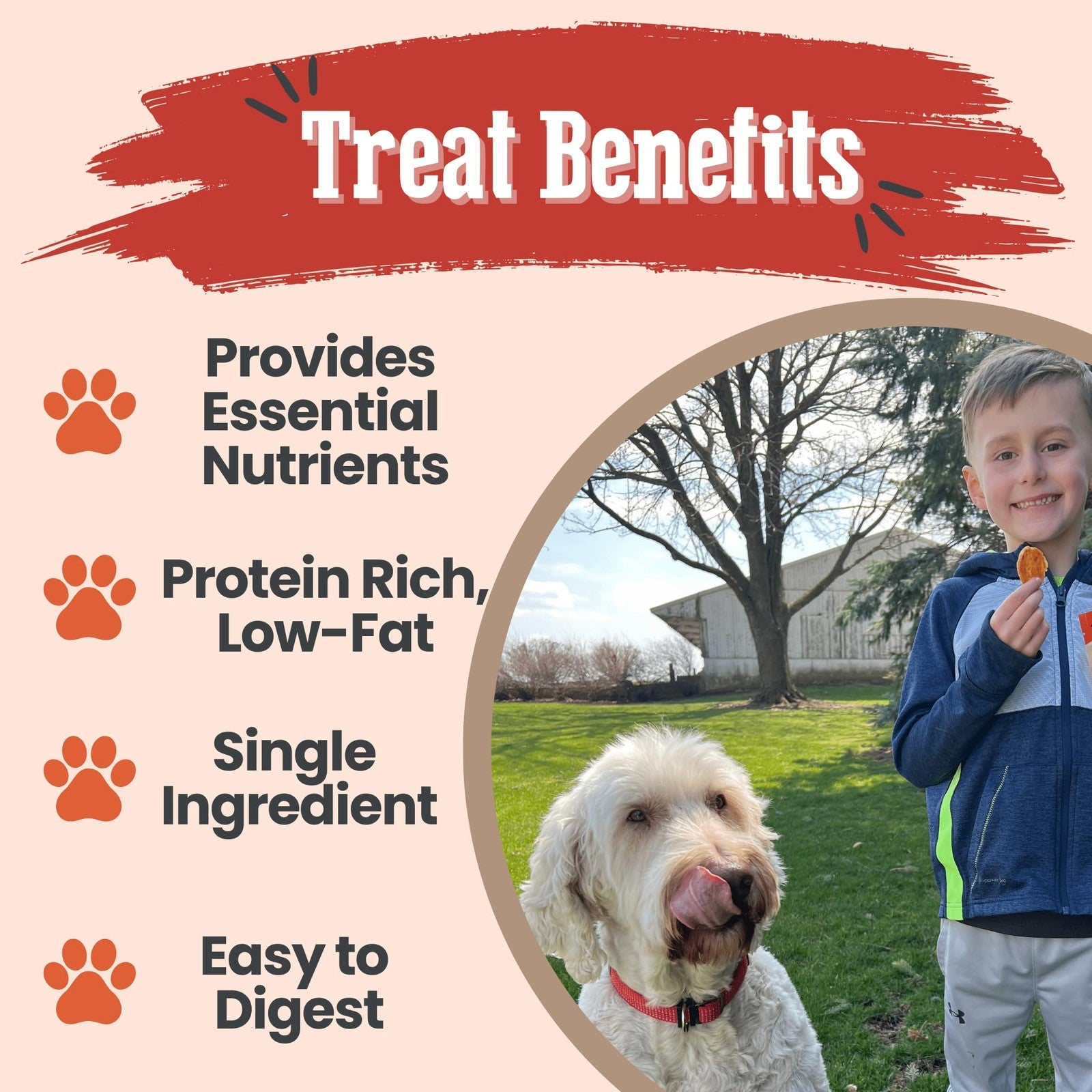 Crunchy Farm To Pet turkey dog training treats in a 12 oz bag, showing the healthy, natural treats for dogs.