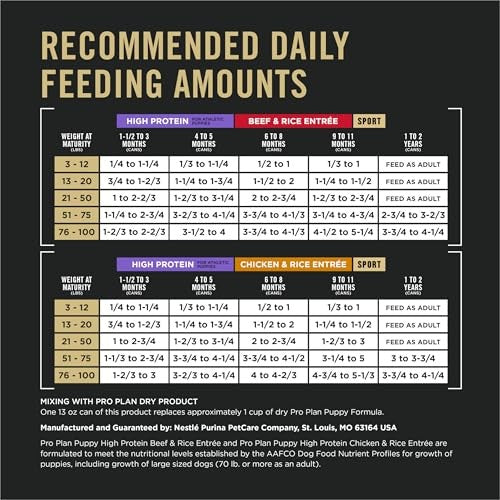 Purina Pro Plan Sport high protein wet puppy food with beef, rice, and chicken in a bowl, designed for active puppies.