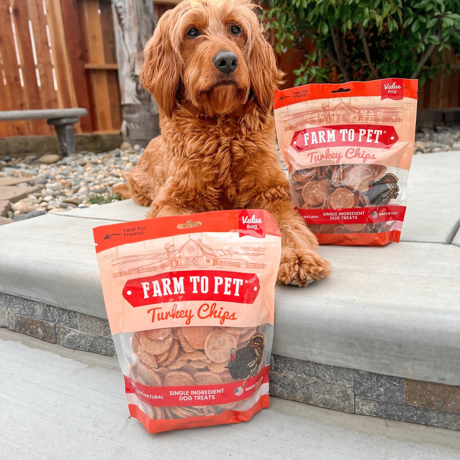 Farm To Pet healthy turkey dog treats in a 12 oz bag with crunchy texture, designed for training and rewarding dogs.