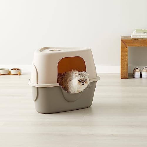 Amazon Basics cat litter box with lid, no-mess design, charcoal color, standard size, unisex, plastic container with opening