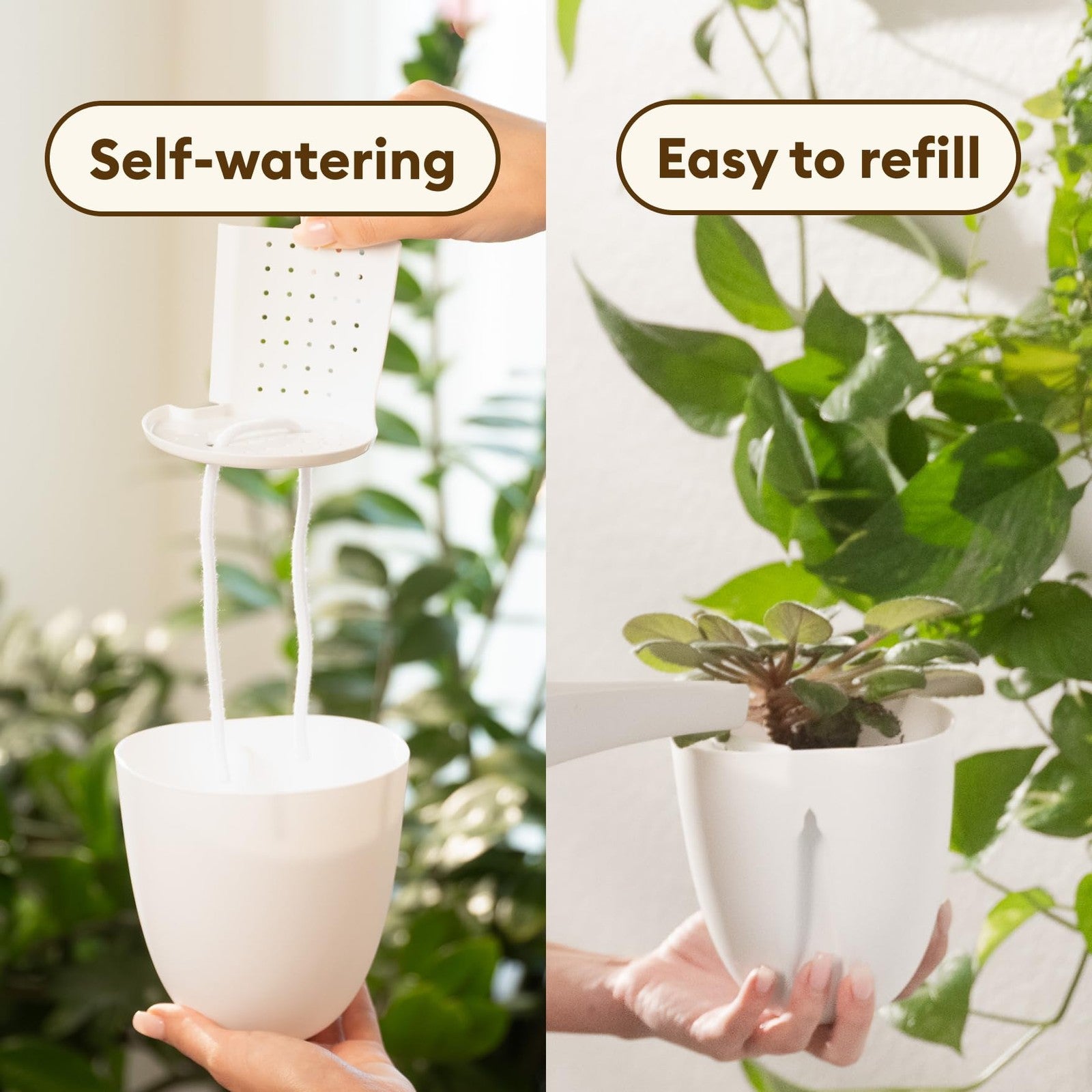 Make Good PlantPod Classic self-watering wall planter with white finish, featuring indoor plants in a vertical garden setup.