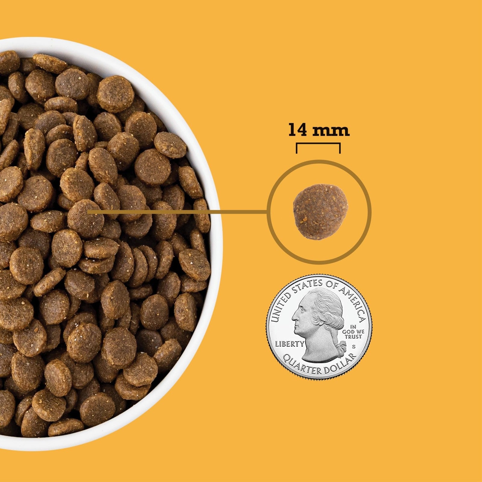 ACANA Grain Free Dry Dog Food bag featuring Free Run Poultry Recipe, 13lb bag with images of kibble and poultry ingredients