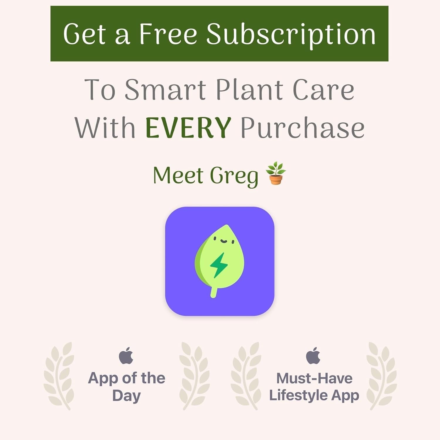 Two peace lily live plants in 4-inch pots from American Plant Exchange, featuring lush green leaves and easy-care indoor houseplants.