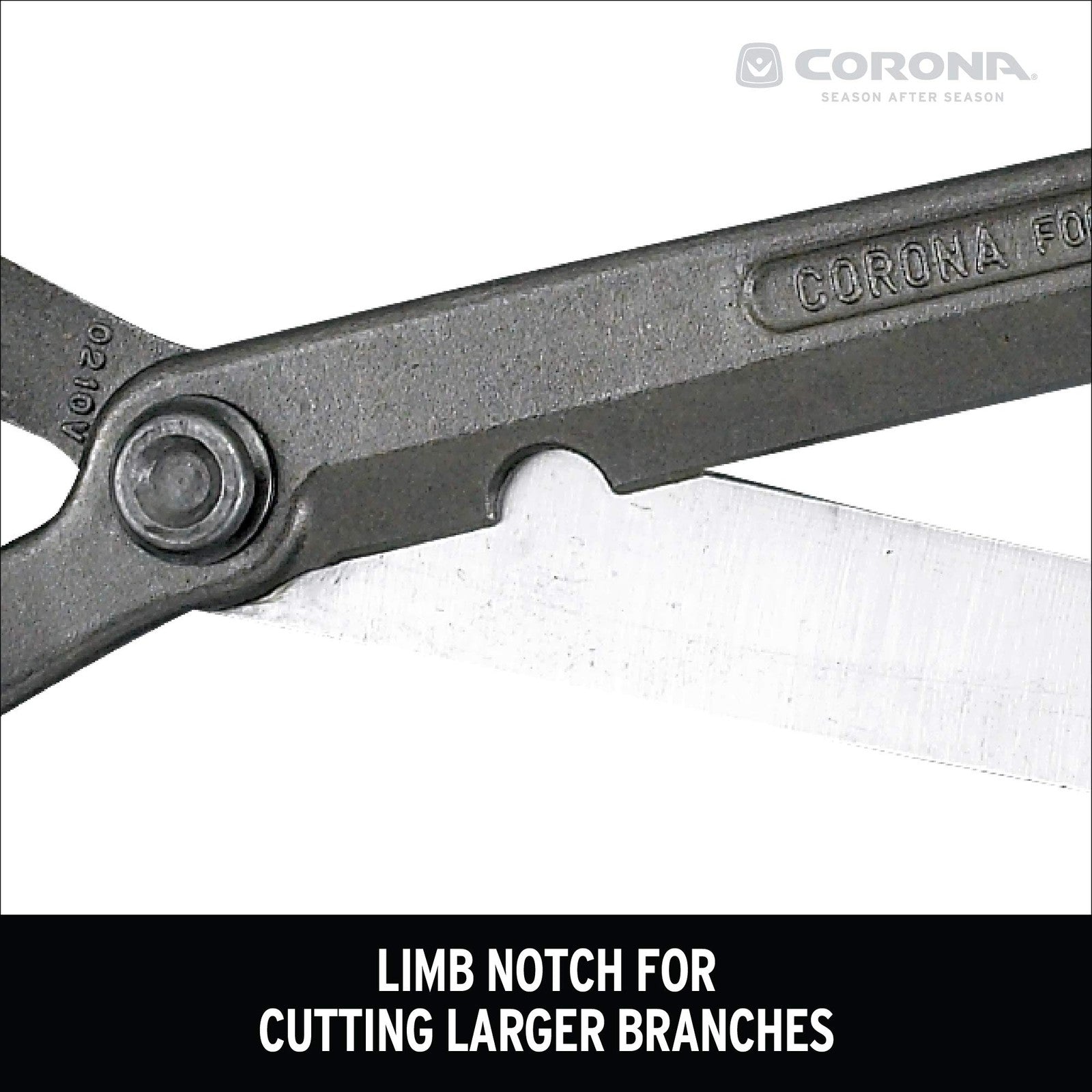 Corona HS 3911 forged hedge shear with 8.25-inch blade, neutral-colored metal handles for trimming and shaping hedges.