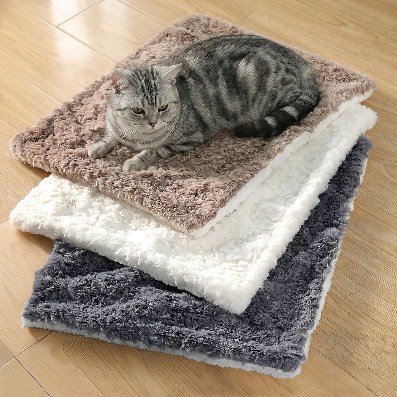 Ultra-soft plush cat blanket for indoor cats, small size, machine washable, cozy NODARKO cat blanket in warm, comfortable fabric.