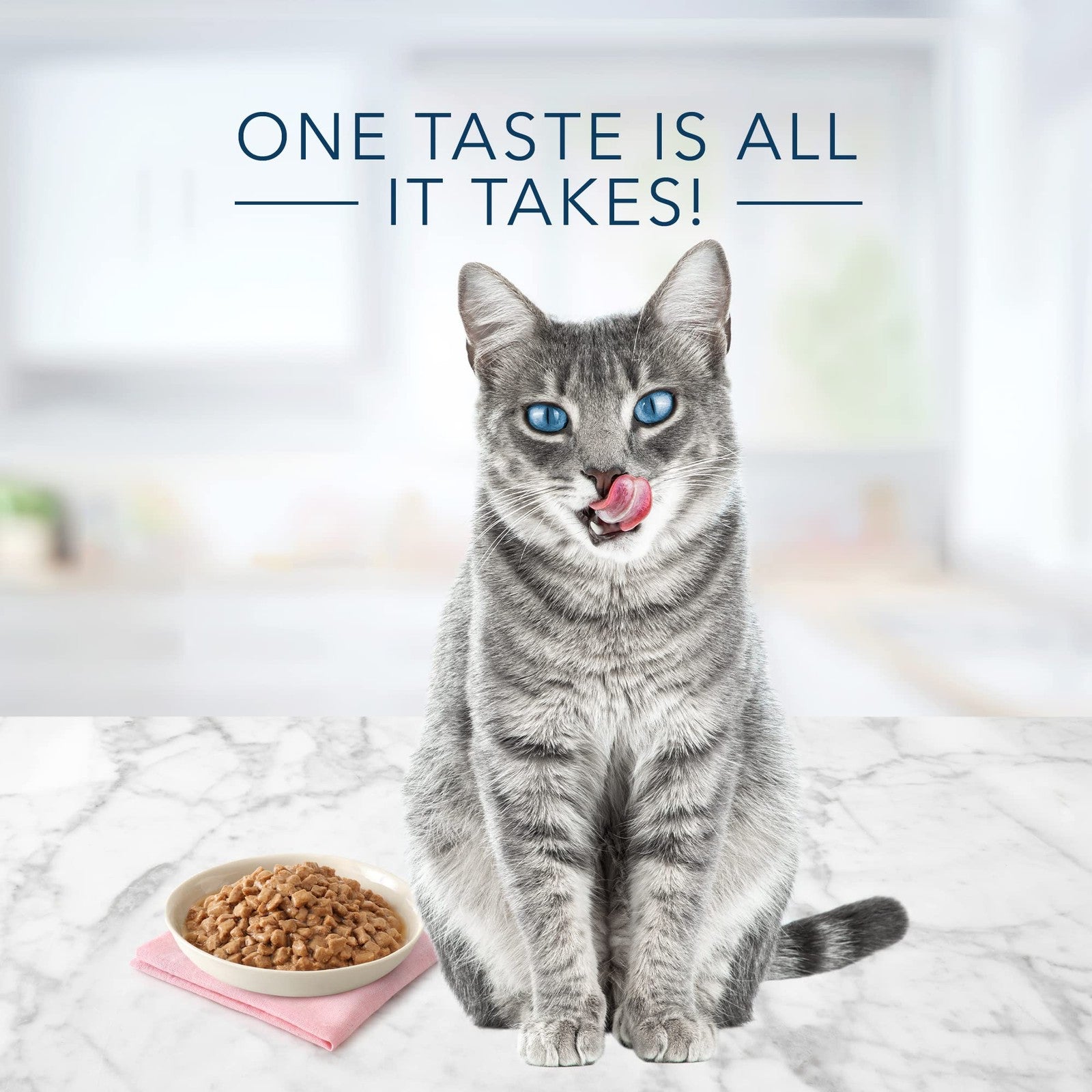 Blue Buffalo Tastefuls Natural Tender Morsels wet cat food in chicken entrée, featuring a colorful bowl of cat food with tender pieces