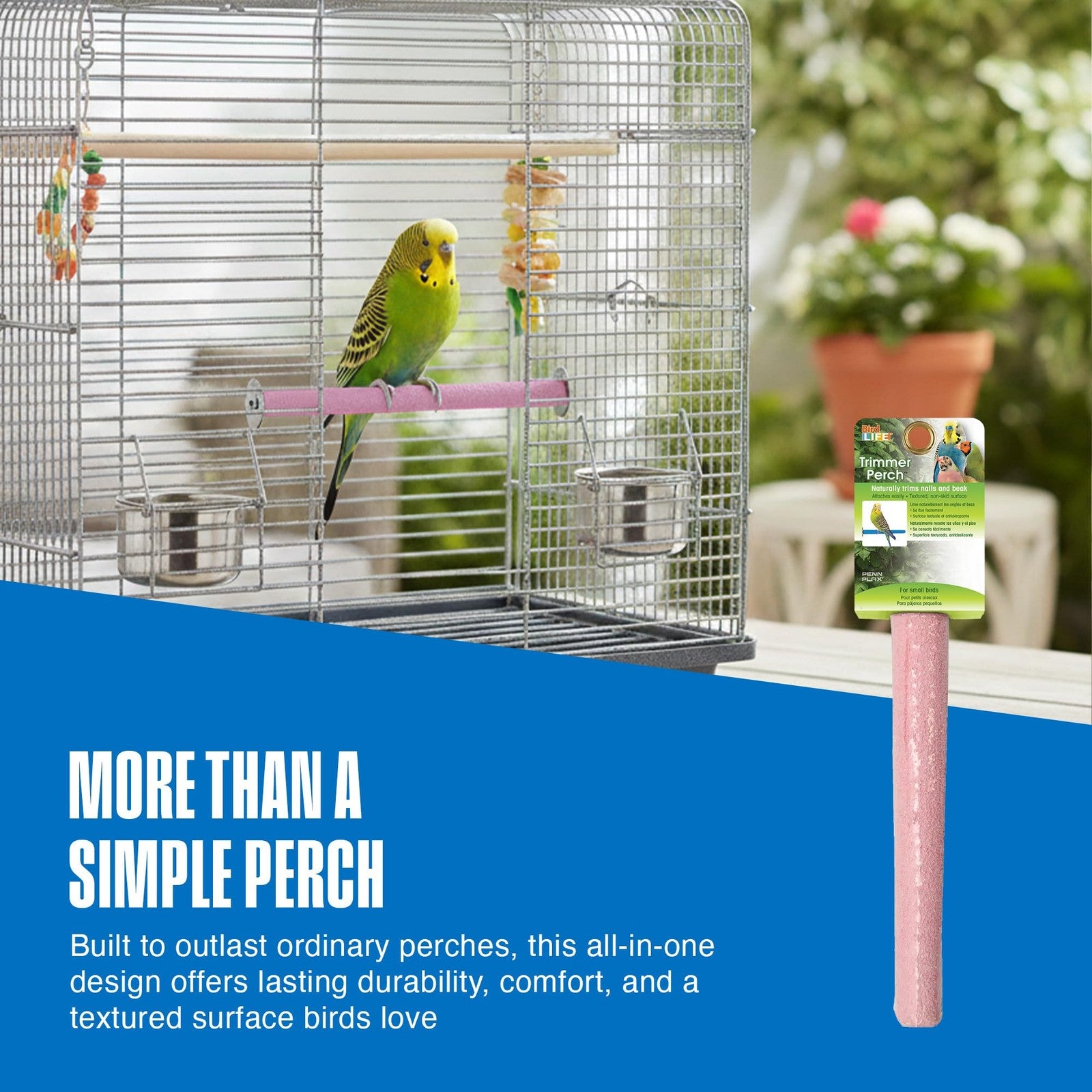 Penn-Plax Bird-Life Cement Trimmer perch for birds, naturally trims nails and beak, easy to use for pet bird care.