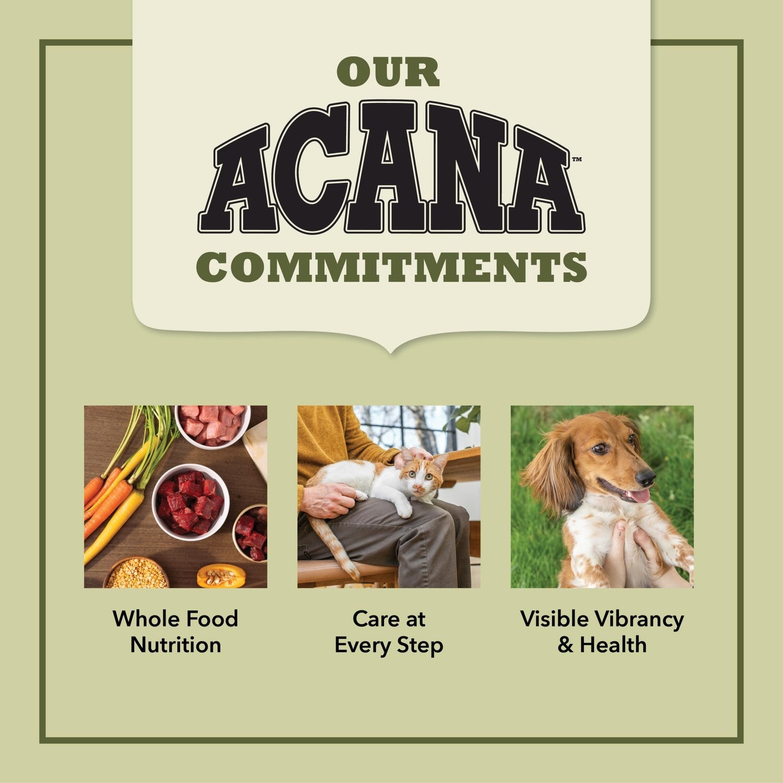 ACANA Grain Free Dry Dog Food with Free Run Poultry, 13lb bag, featuring high-quality poultry ingredients for healthy dogs.