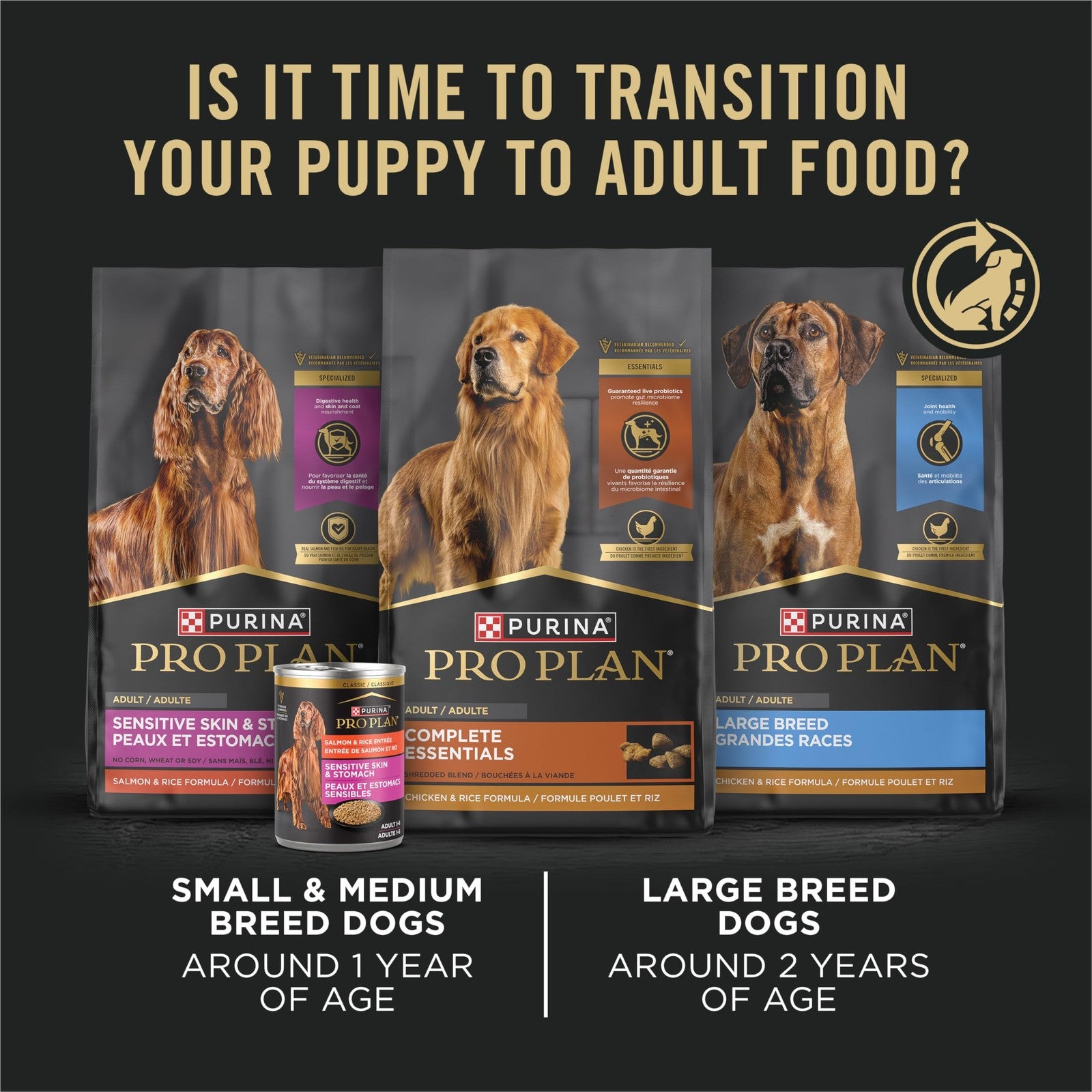 Purina Pro Plan grain-free wet puppy food with classic chicken entrée in a pack of 12, showing the canned food and feeding bowl.