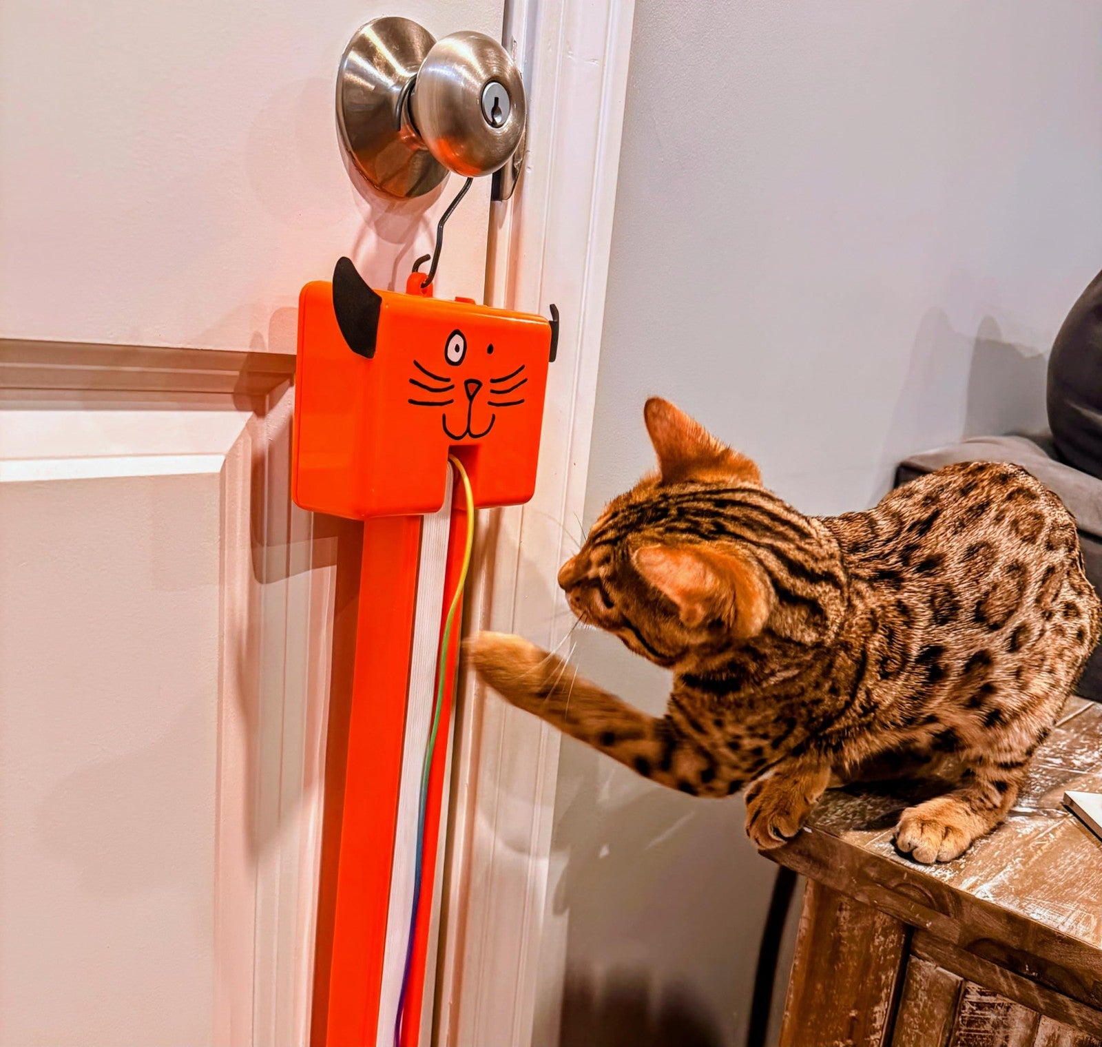 Moody Pet Fling-AMA-String cat toy with colorful, flexible strings for playful feline entertainment.