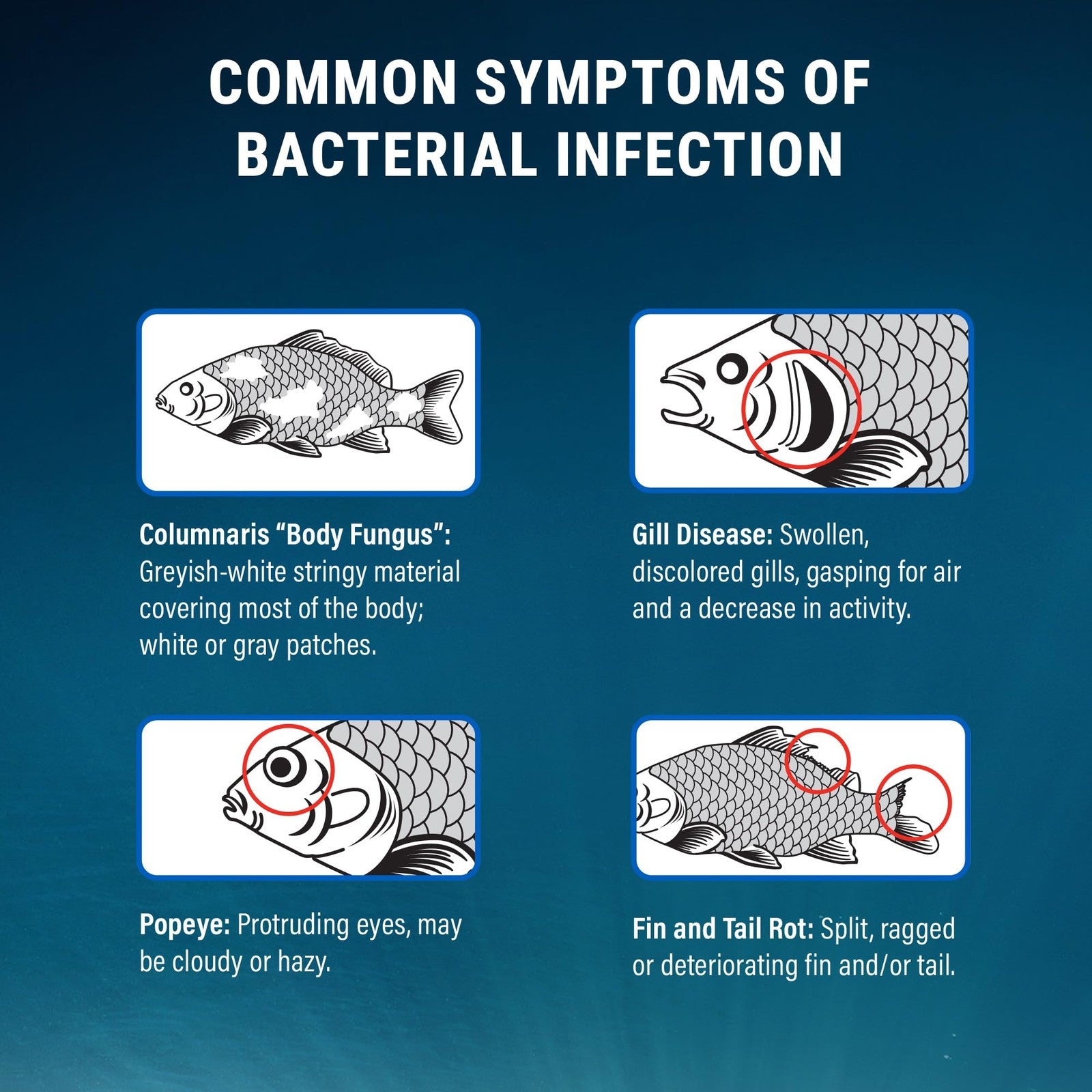 Fritz Maracyn bacteria infection treatment for freshwater and saltwater aquariums, 20-pack of medication bottles.