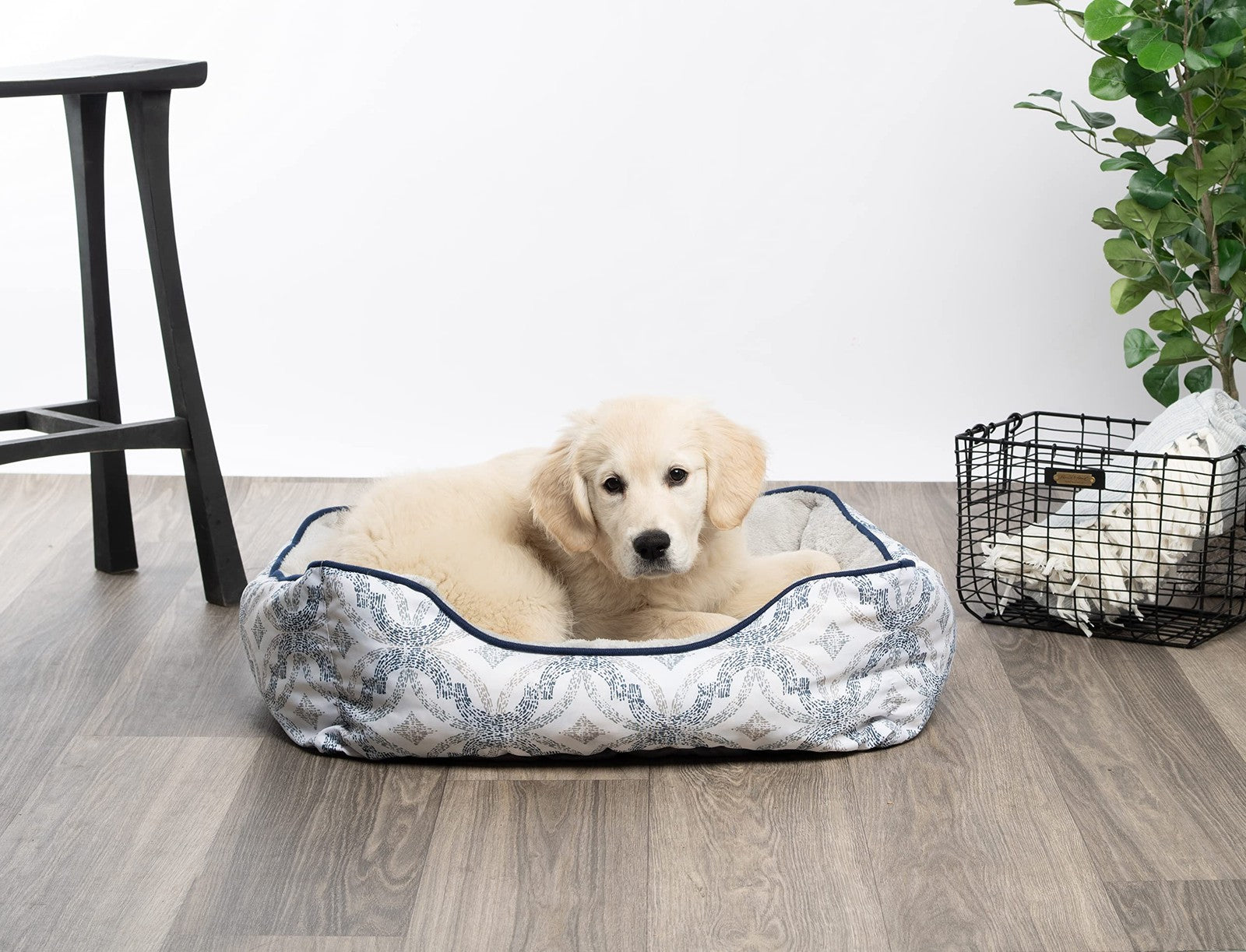 Modern Threads luxury dog bed with oxford printed plush fabric, designed for small to medium dogs, cozy and stylish pet sleeping space