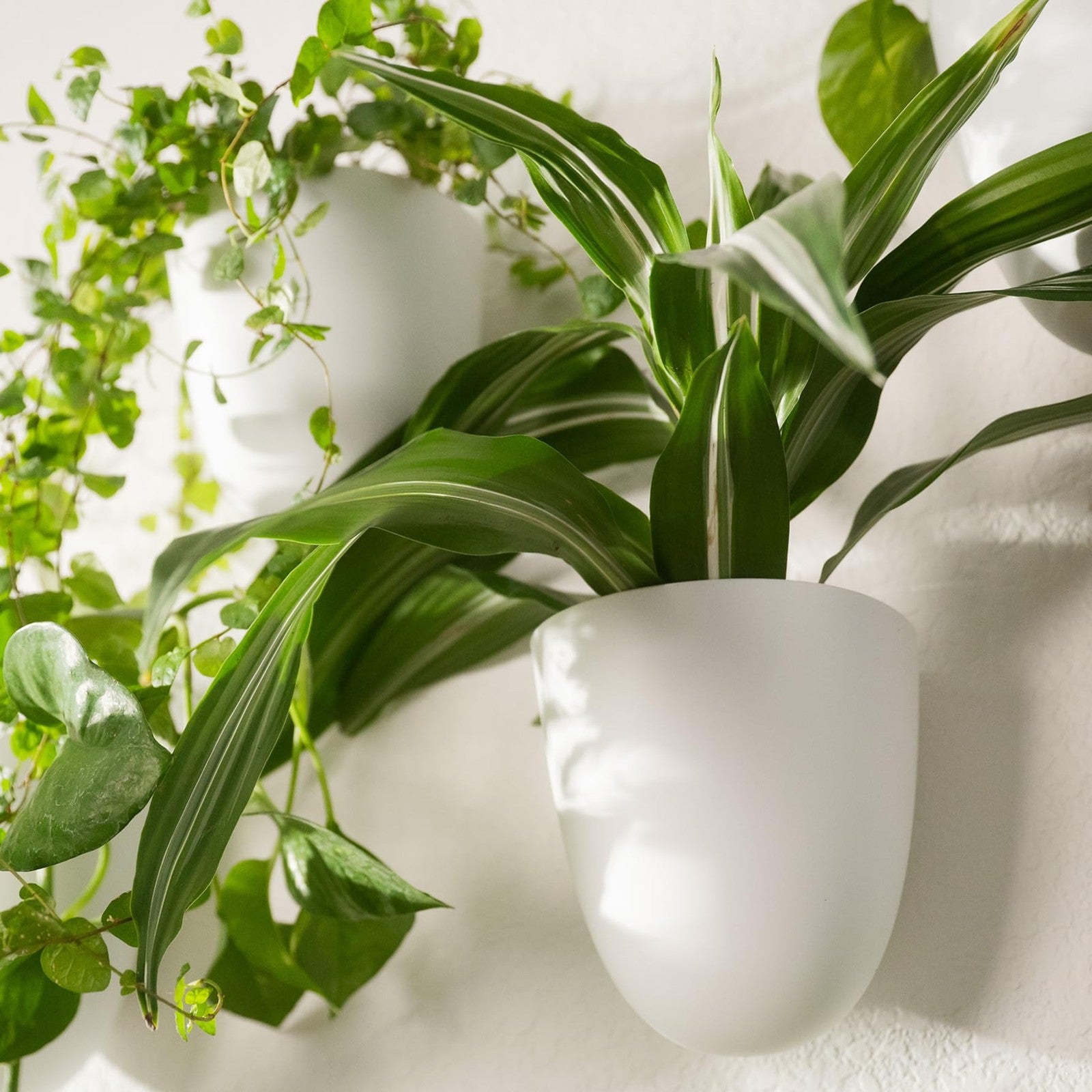 Make Good PlantPod Classic self-watering wall planter with white finish, displaying indoor green plants in a vertical garden setup.
