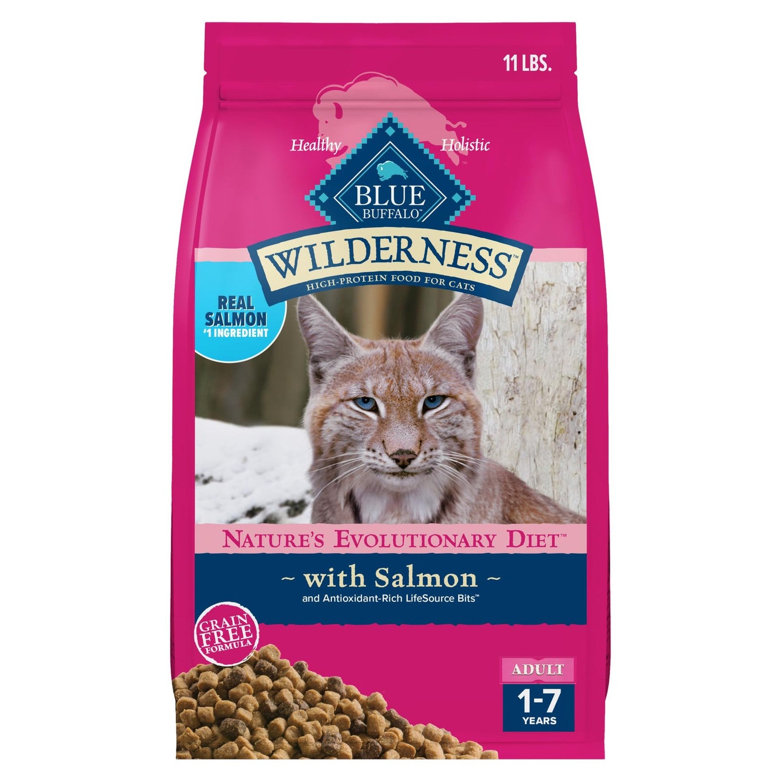 Blue Buffalo Wilderness high protein grain-free dry cat food with salmon, showing the kibble in a bowl.