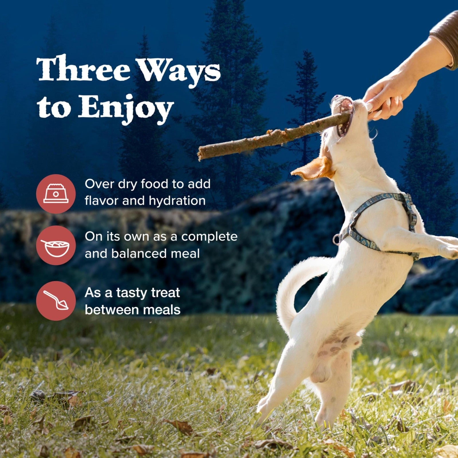 Blue Buffalo Wilderness adult wet dog food with red meat pâté in a 12-pack, grain-free, featuring cans with blue and red labels.