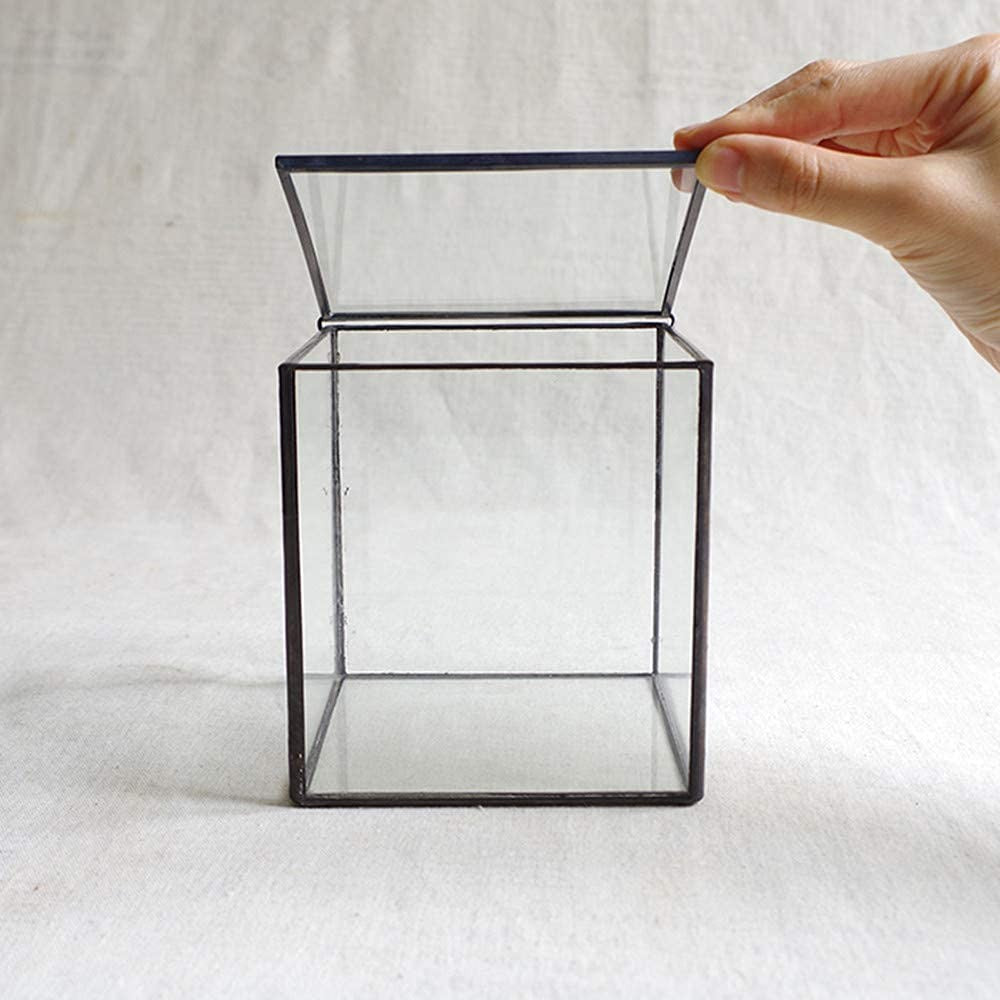 Small square glass terrarium by Libproqia with geometric clear design for indoor plant display or decorative use.