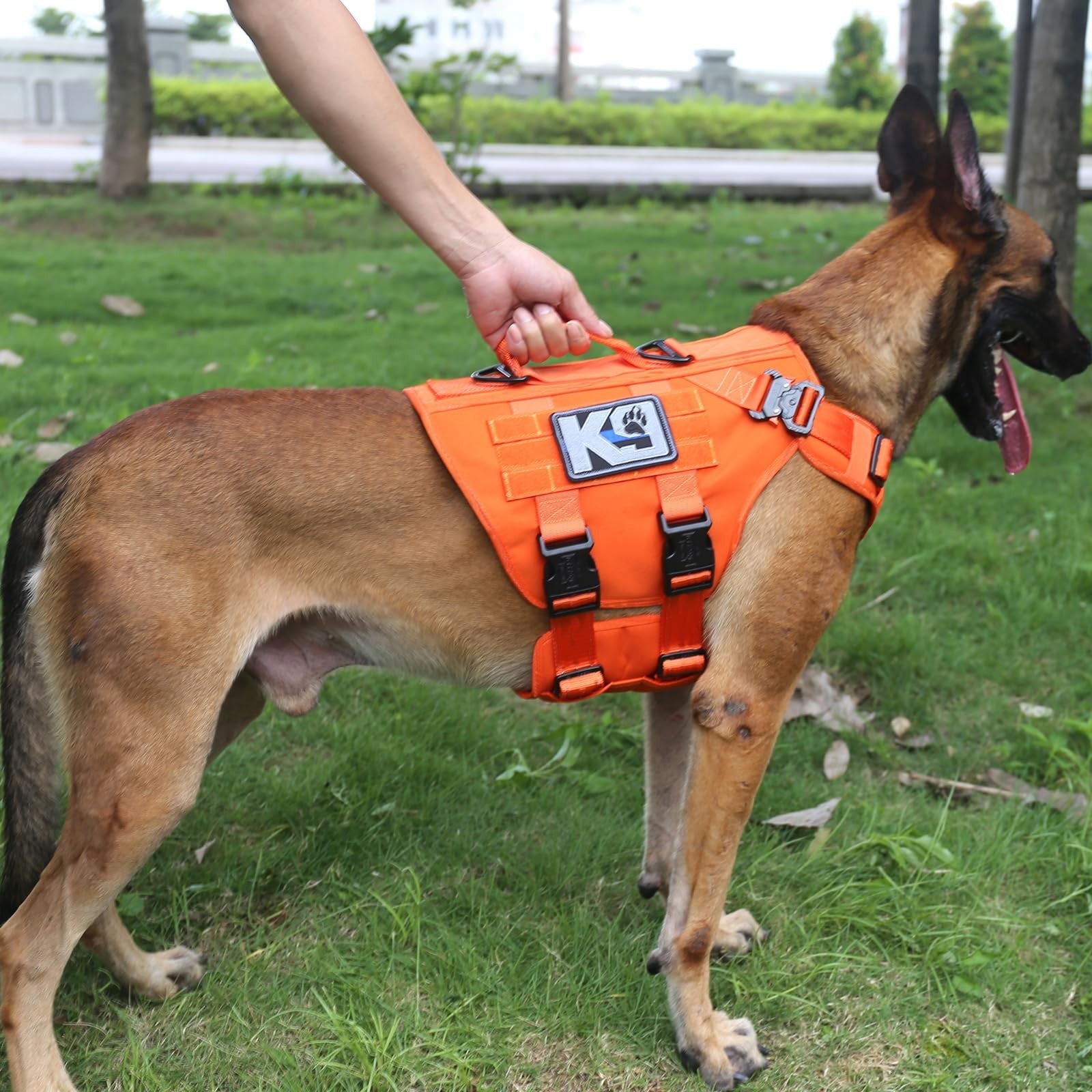 Icefang Gn3 tactical dog harness with Molle vest, handle, and buckles for 3/4 body size, designed for durable outdoor use.