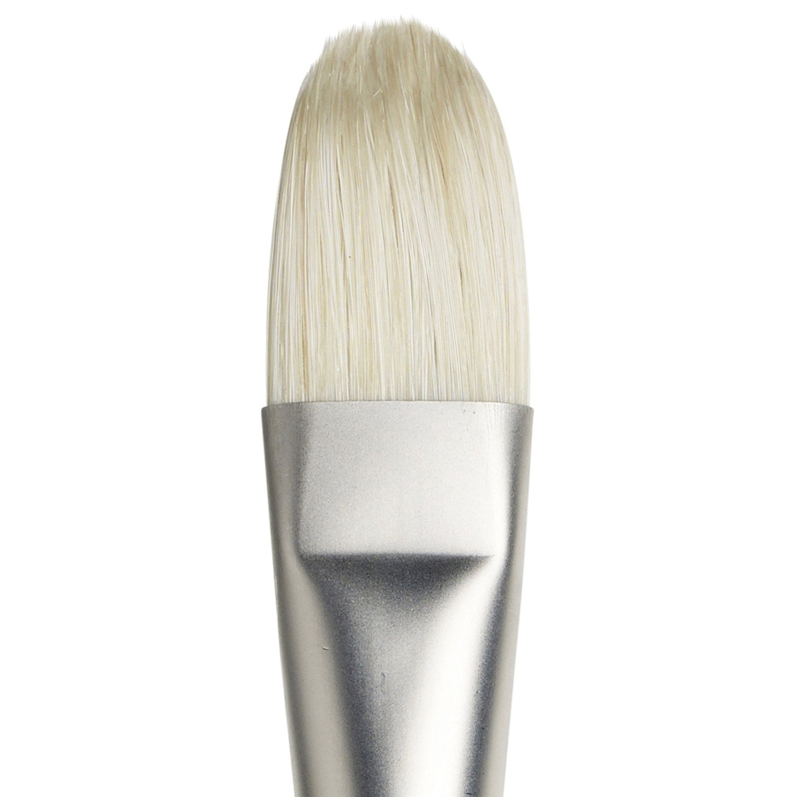 Winsor & Newton artist oil hog paint brush, long handle, size 12, with natural bristles for detailed oil painting.