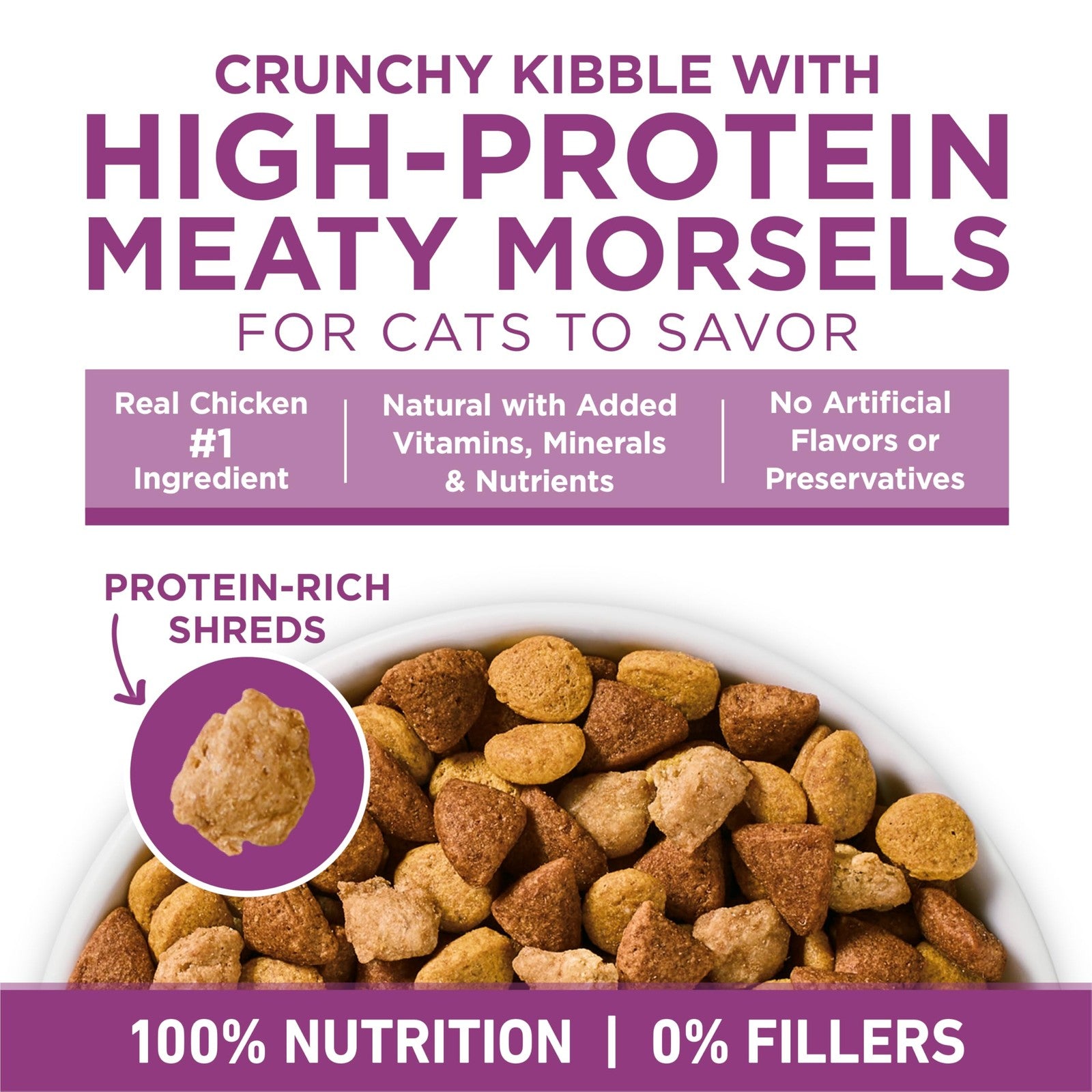 Bag of Purina ONE Whole Body Support Chicken Dry Cat Food showing the 16 lb packaging and image of healthy cats.
