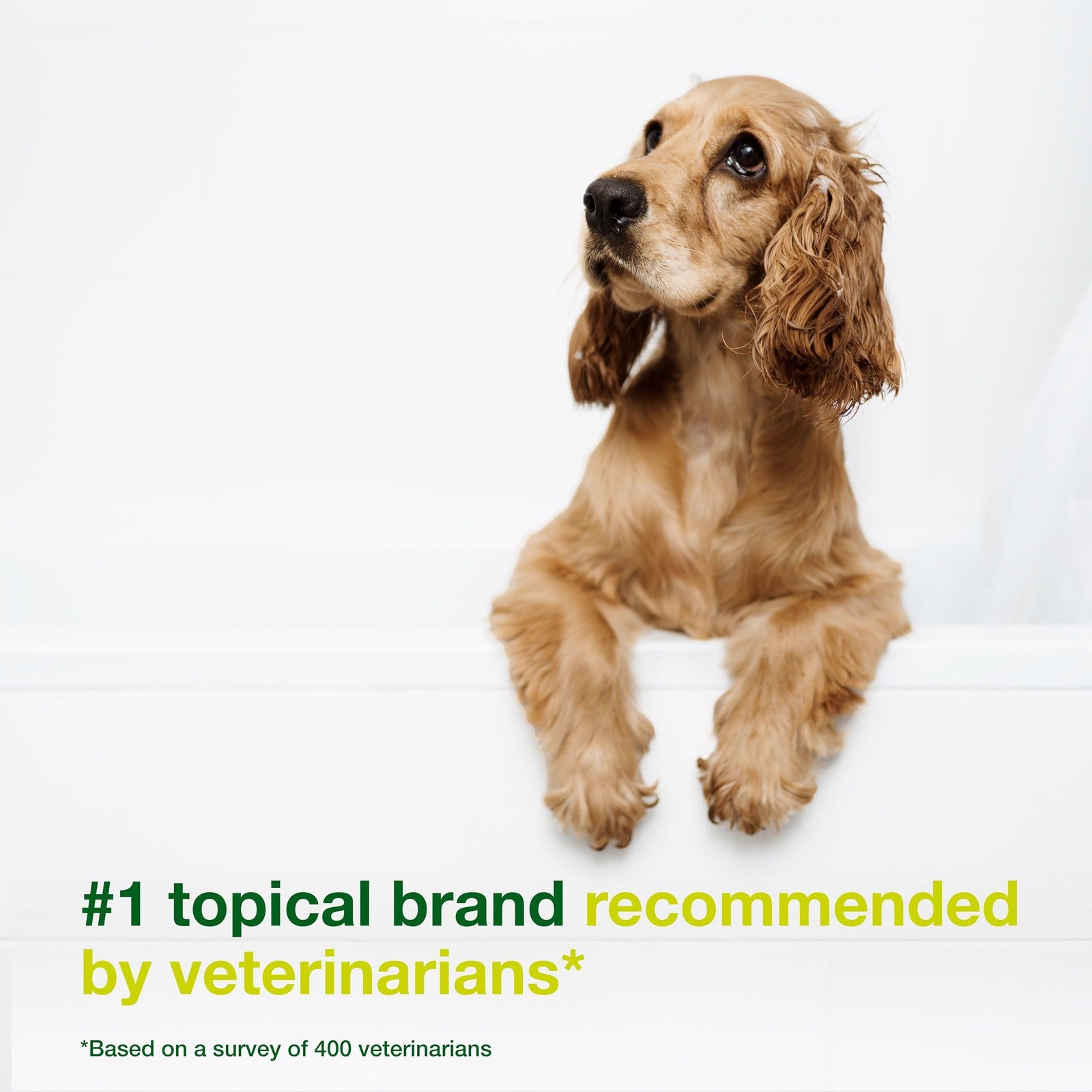 Douxo S3 Seb Shampoo bottle with label showing Ophytrium, designed for odor control and seboregulation in pets.