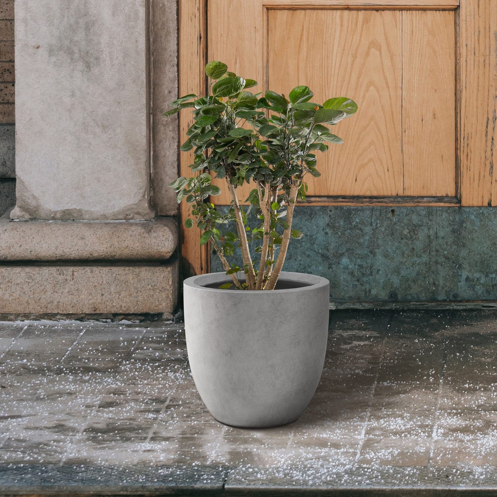 Large Kante 13.4-inch round concrete planter with a modern design, suitable for outdoor or indoor decorative plant displays.