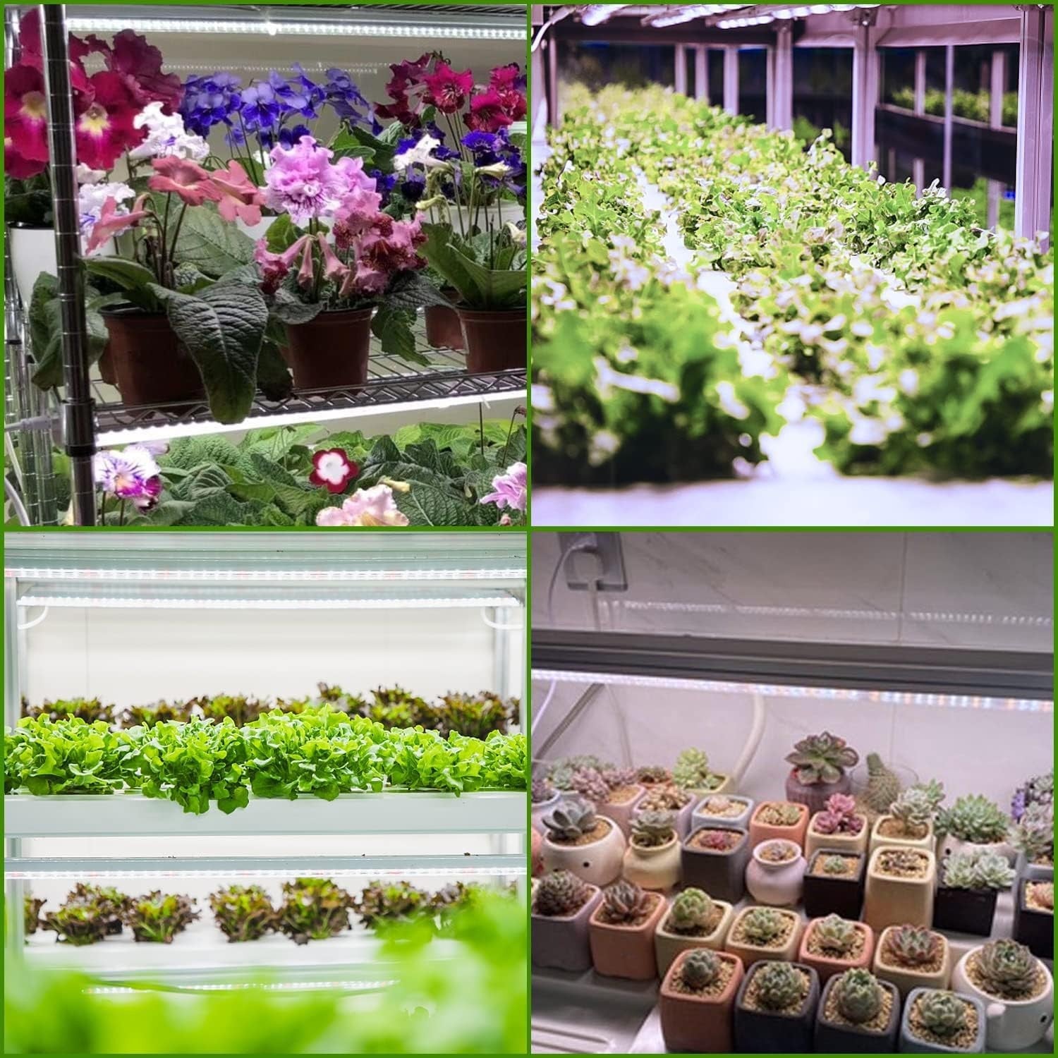 TVTUTPWY T5 grow light with 8 full spectrum LED tubes, 1.4 ft length, 10 watts each, 5000K white for plant growth.