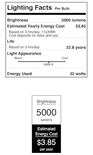 Westinghouse Lighting 5225100 32W ED28 daylight high-intensity discharge light bulb showing the bulb shape and label