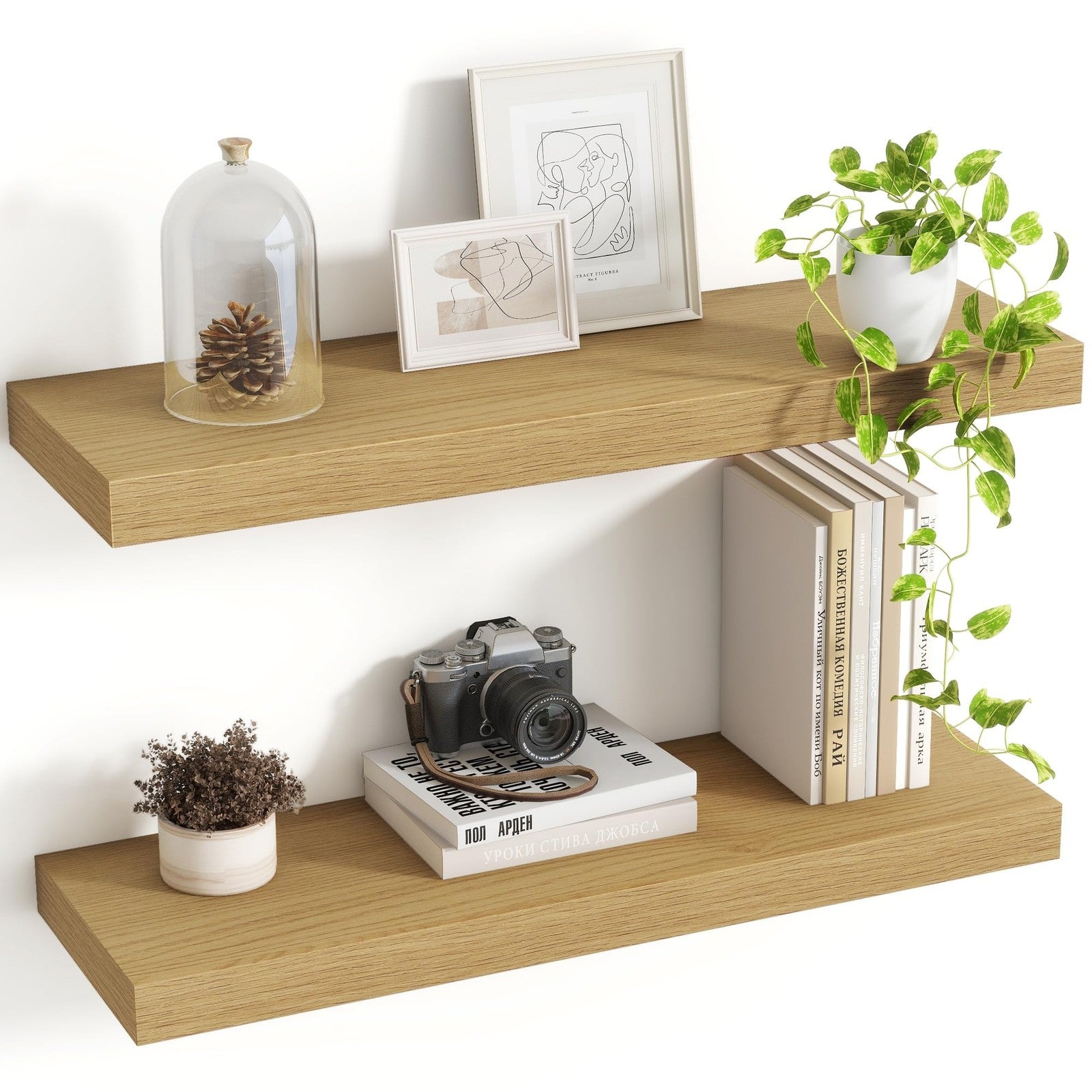 Acovy 24-inch floating wall shelves, 8-inch deep, showcasing modern wooden hanging shelves mounted on a wall.