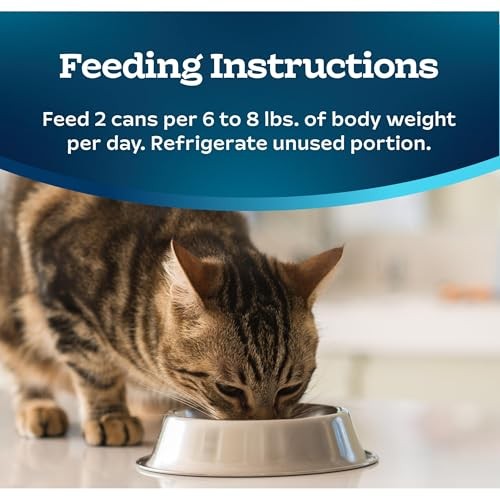 Blue Buffalo Tastefuls wet cat food Paté in ocean flavor, featuring natural ingredients, served in a bowl with cat-friendly presentation.