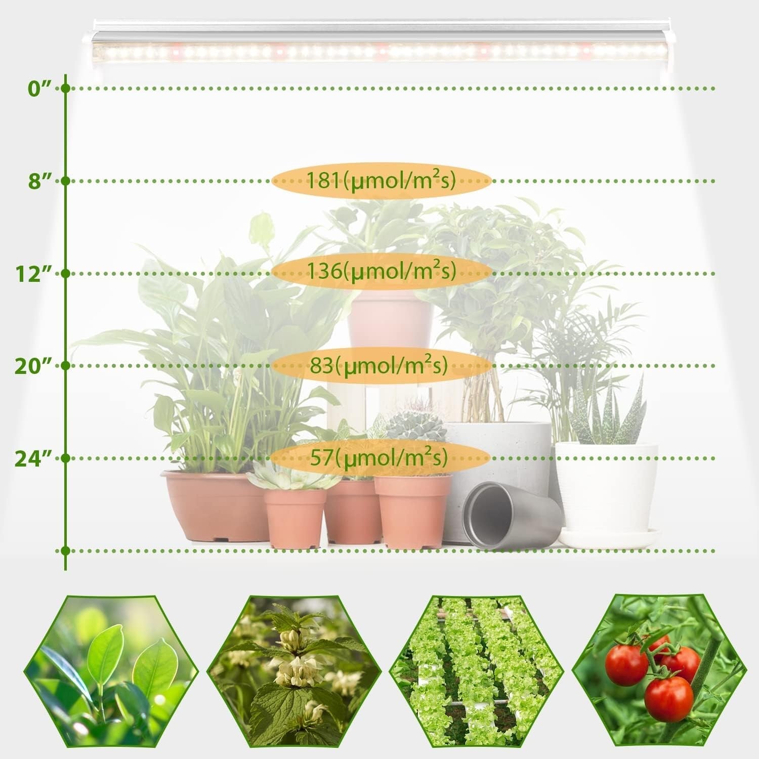 TVTUTPWY Grow Light T5 1.4Ft LED fixture with 8 white full spectrum 10W bulbs, ideal for indoor plant growth.